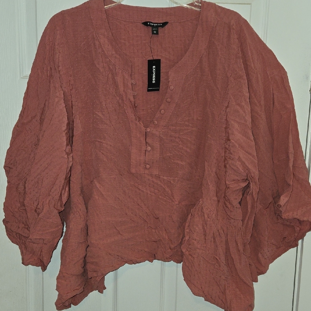 Express Button-Down Blouse in Warm Rust